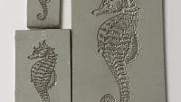 AMC Rubber Textures - Seahorse Set of 3 - 5cm x 3cm, 4cm x 2cm & 2.5cm x 1.5cm RF